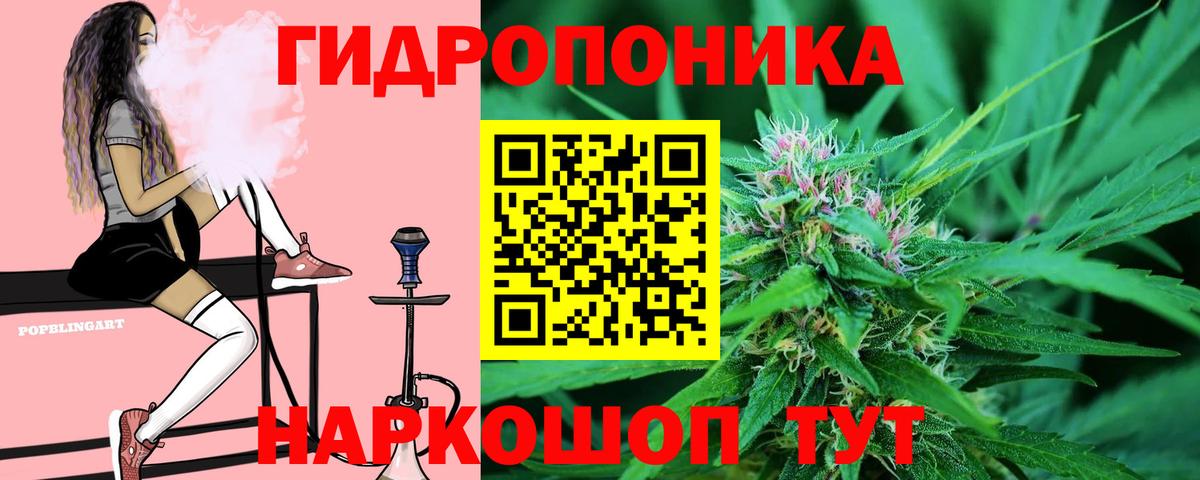 Канабис планчик Миасс